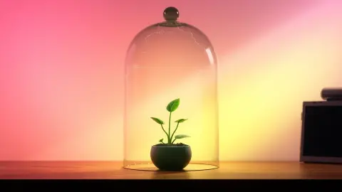 Cracked glass dome over a glowing plant symbolising busted myths